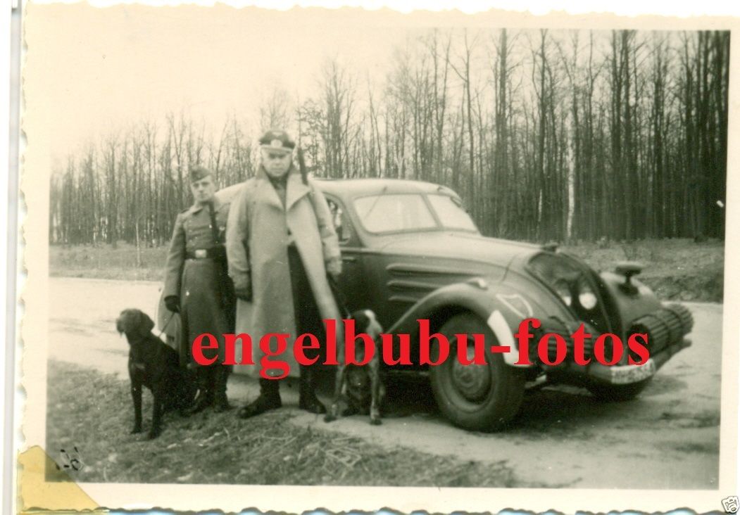 FAHRZEUG - KÜBELWAGEN - WH - Selt. Wappen