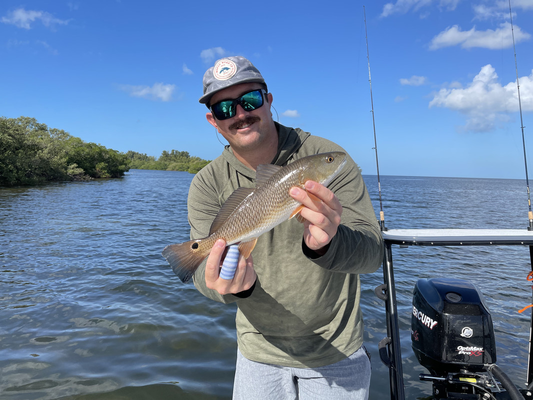 D0F8F80B-8F1C-4BA3-9A5F-081B39C8846E