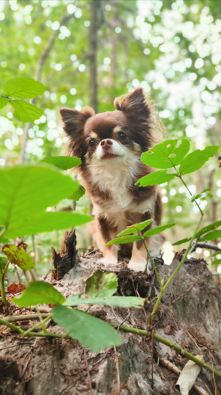 Lumii_20250812_095859023