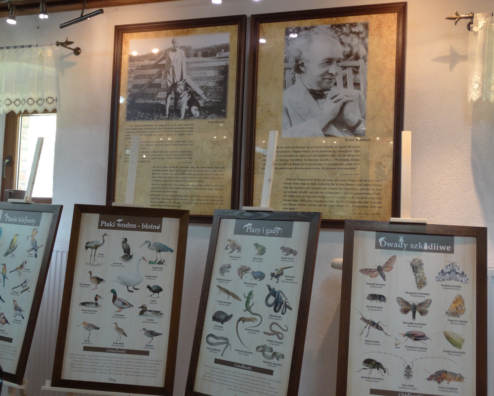 07 - DSC03949 (Czesio1)