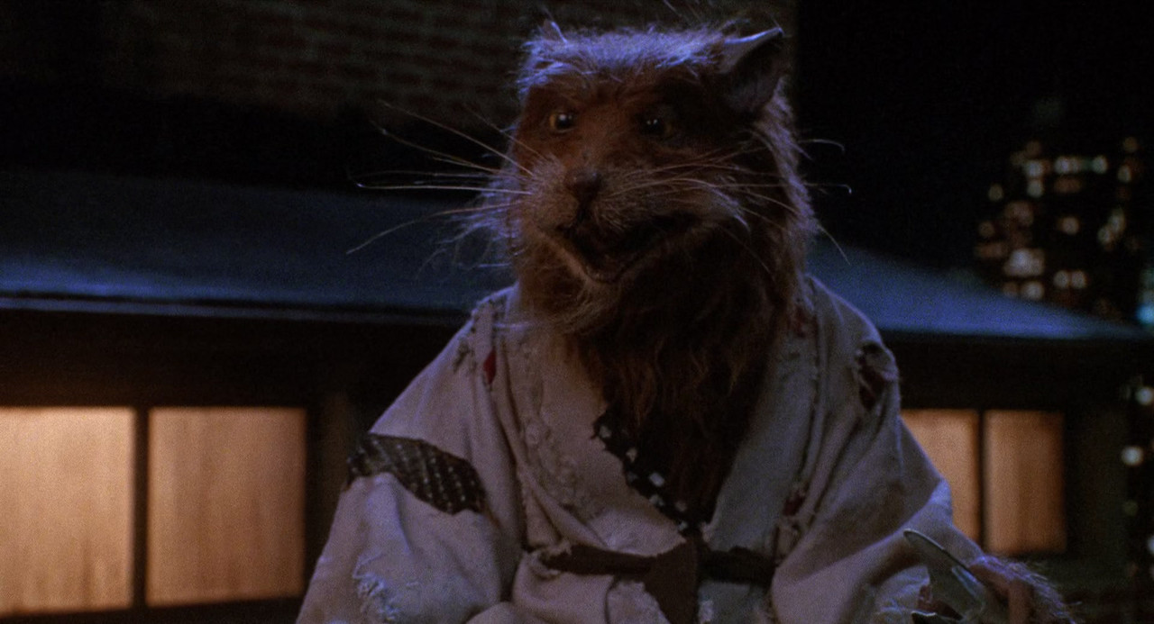 Teenage Mutant Ninja Turtles II The Secret of the Ooze (1991) (1080p BluRay x265M SAMPA)-10
