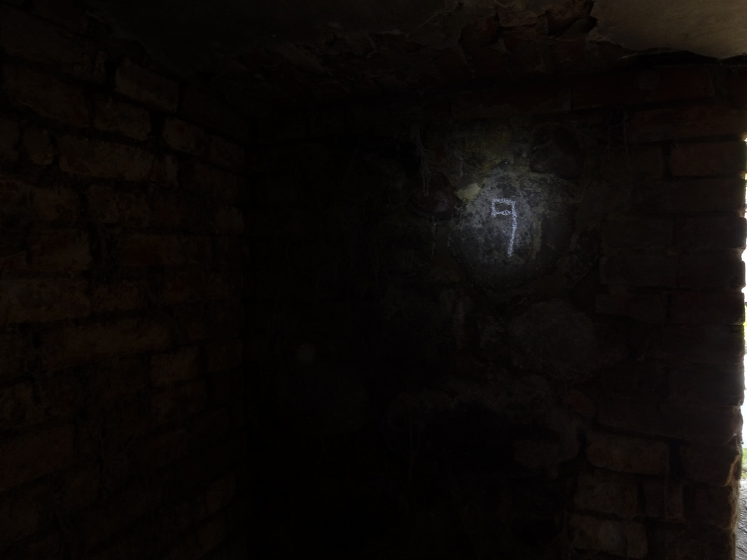 19.13 - DSC06901 (Czesio1)