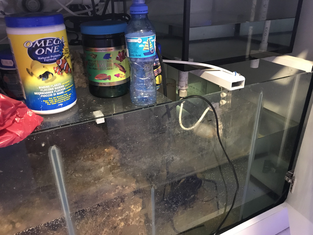 vQpQmvBJS3Gu545hk2wxyA