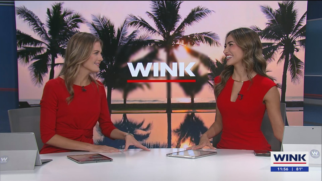 WINK NEWS at 1130am_20250330_16301700.ts_snapshot_28.08.447