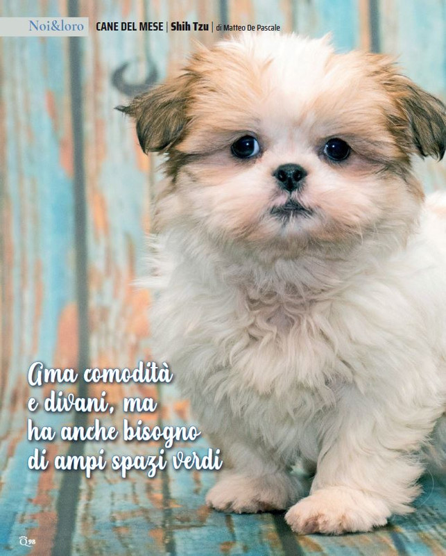 QuattroZampe Mar 2023 (11)