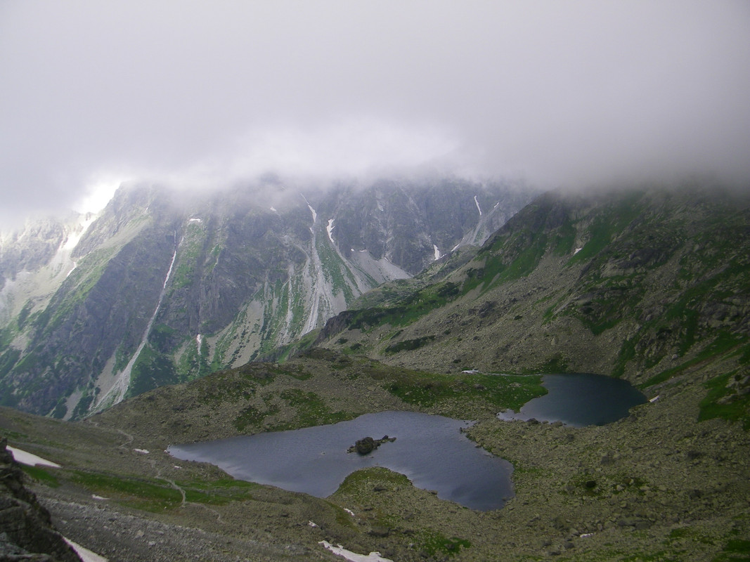 061 - 100_2903 (johny)