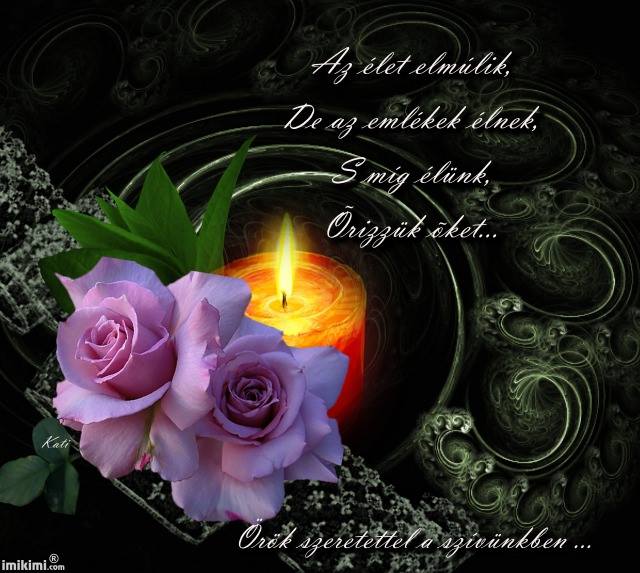 11745386_625617034205380_2681707142022486749_n