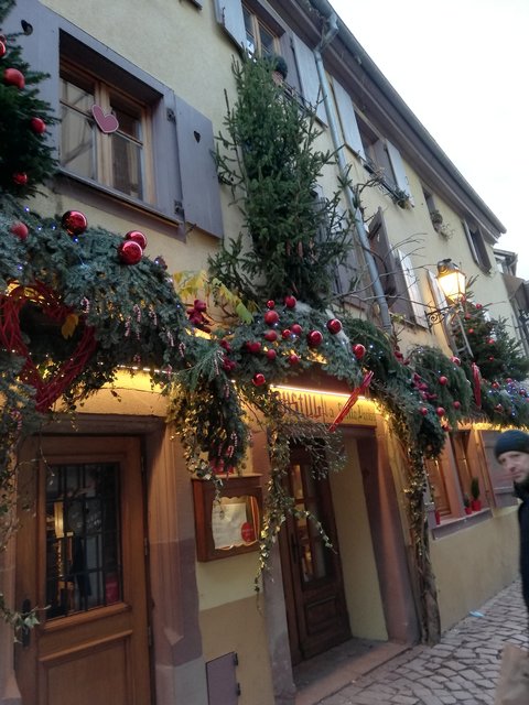 Puente de la Inmaculada 2022 en Alsacia - Blogs de Francia - ALSACIA EN NAVIDAD VISITANDO EL CASTILLO DE ALSACIA, COLMAR Y ESTRASBURGO. (17)