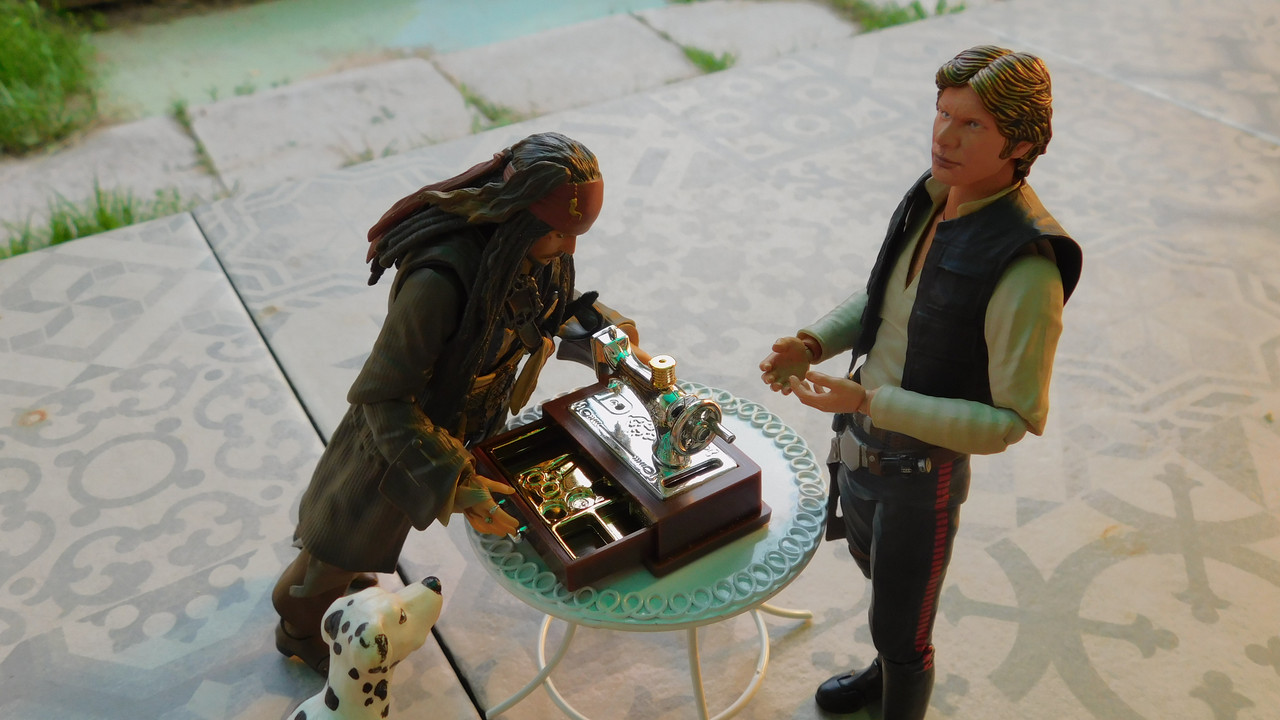 Дачно-Харлинский июнь-июль 2024 117