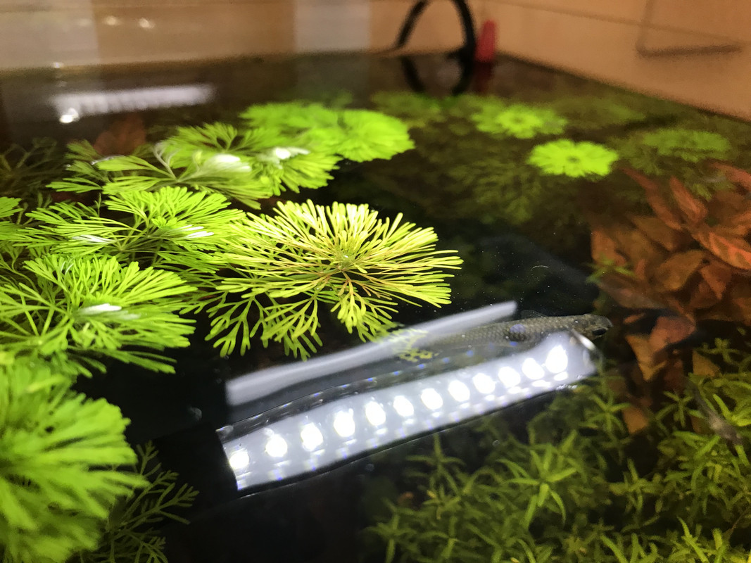 1AA2D332-ACE6-4BD8-BB3A-2822B687CDF1