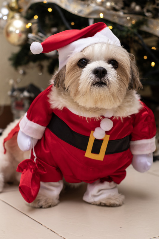 295B0E18-97BA-4259-B2E6-2BA5488FA429