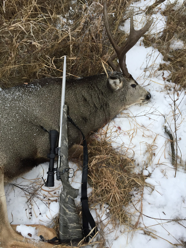 0B4FCE24-2827-4A4A-89E1-1C1CAD422365