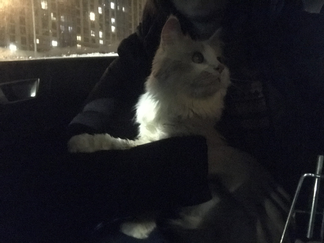 552DBC85-B52E-47F6-B68F-46BEB3F558A8