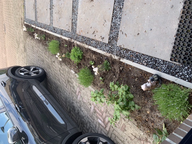 9DD1CDC4-820B-454A-9DD3-561192C1647C