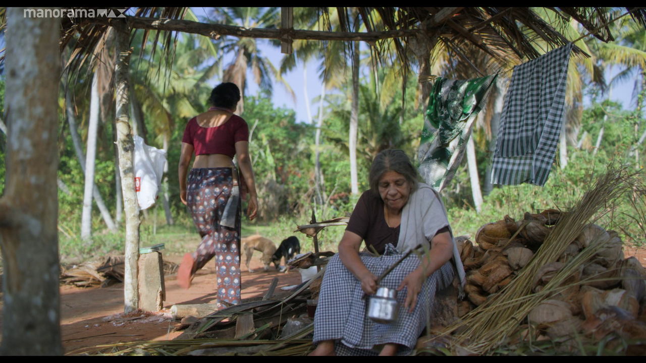 vlcsnap 2026 02 25 12h50m27s763