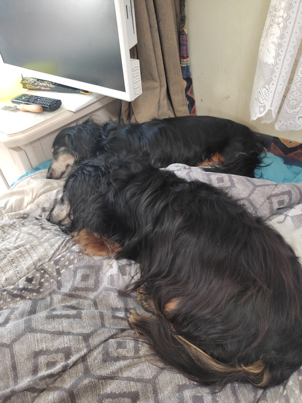 [Image: IMG-20220705-104340.jpg]