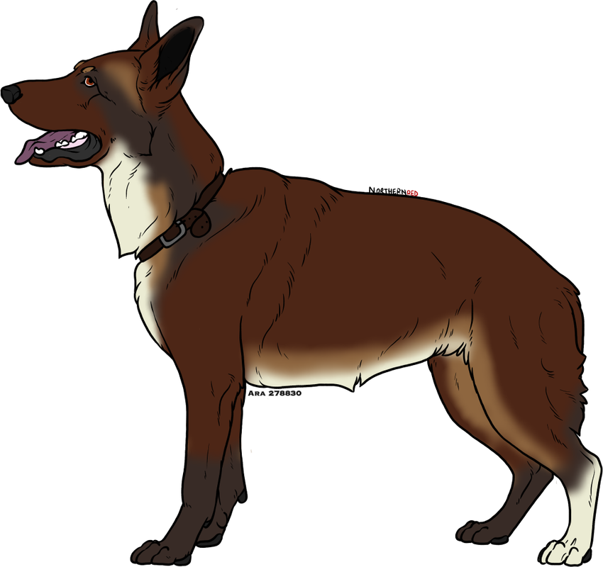 Axl-Adult.png