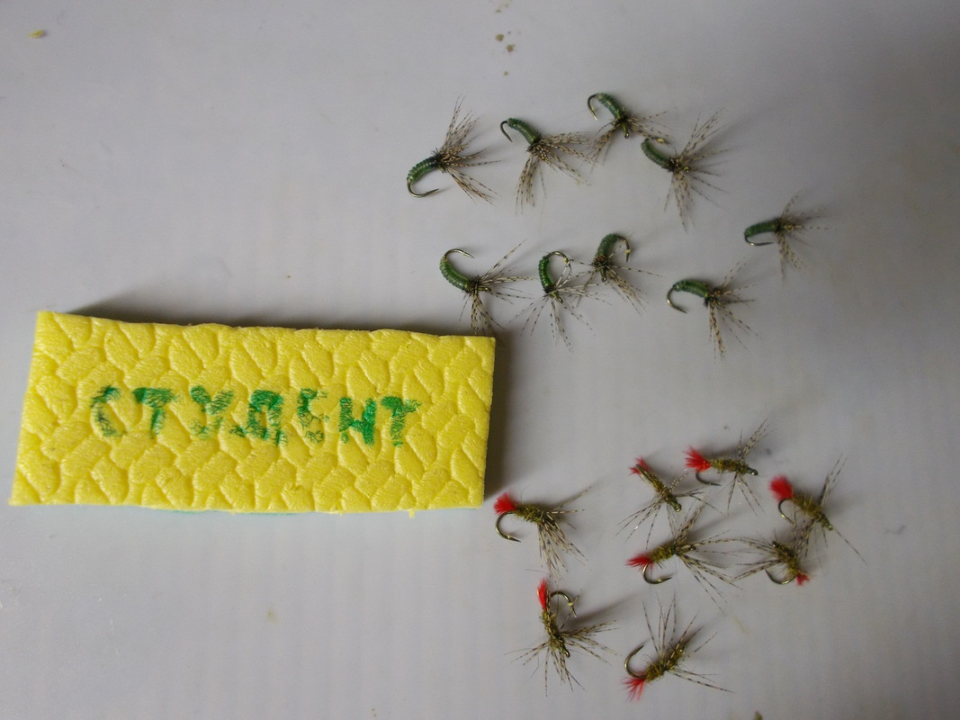 кебари Сашки