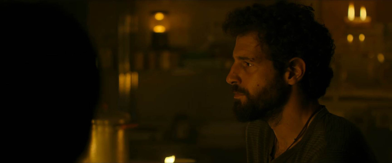 Apocalypse Z: The Beginning of the End 2024 WebRip [Hindi + English] 480p, 720p ESub Screenshot