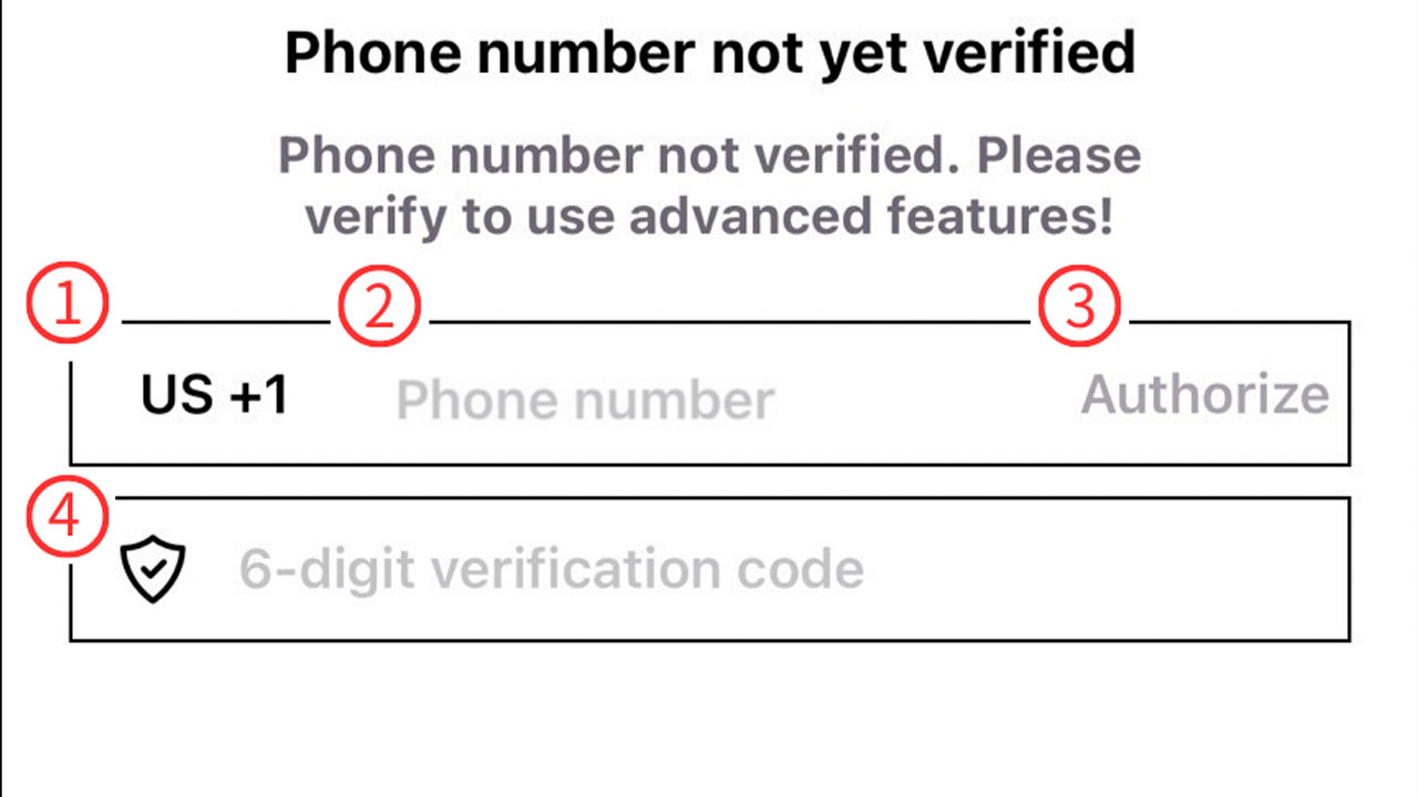Phone Verification Limits