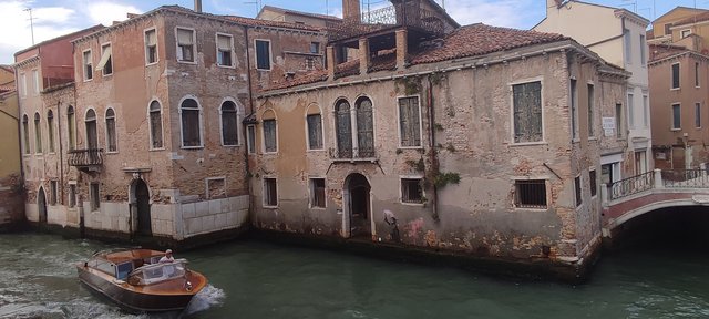Pizcas de arte en Venecia, Mantua, Verona, Padua y Florencia - Blogs de Italia - Pateando Venecia entre iglesias y museos (22Kms) (116)