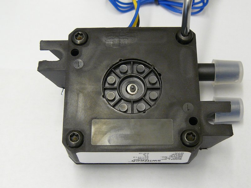 P1100108.jpg