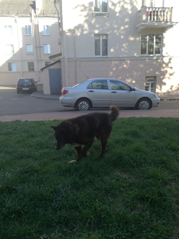 25F15265-B3CE-42B0-A0C3-7A1A4C705547