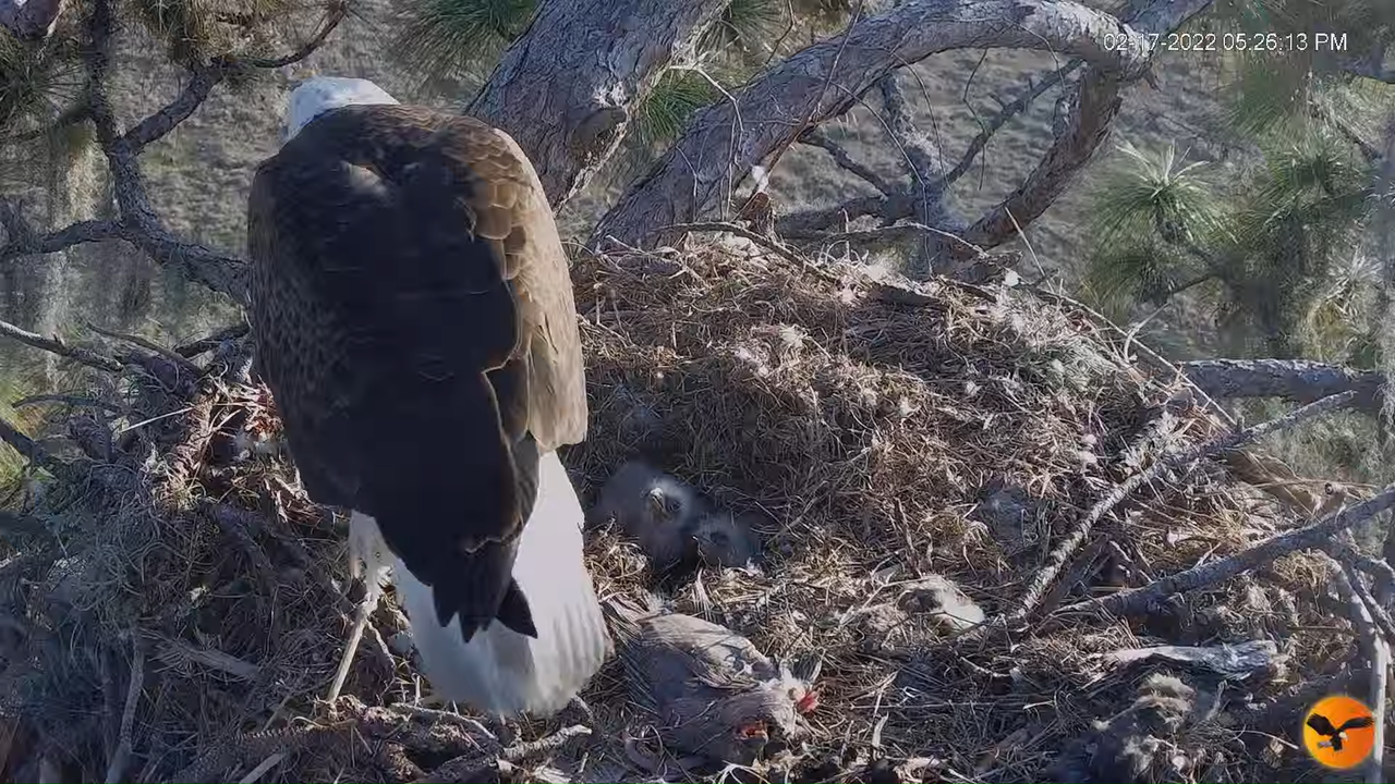 EC 4K Overhead Cam 1-49-10 screenshot