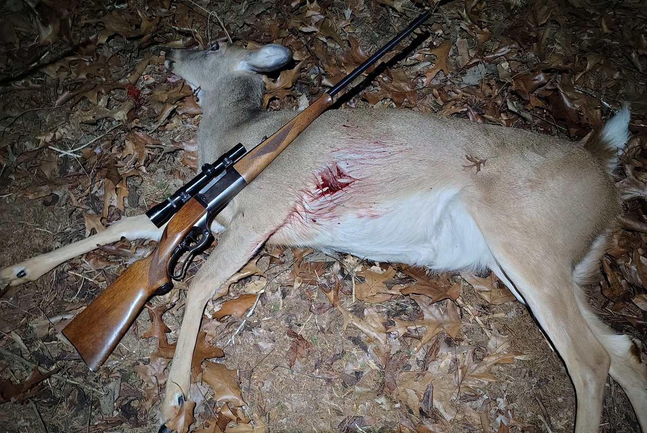 IMG 20260102 174610619 HDR(2)