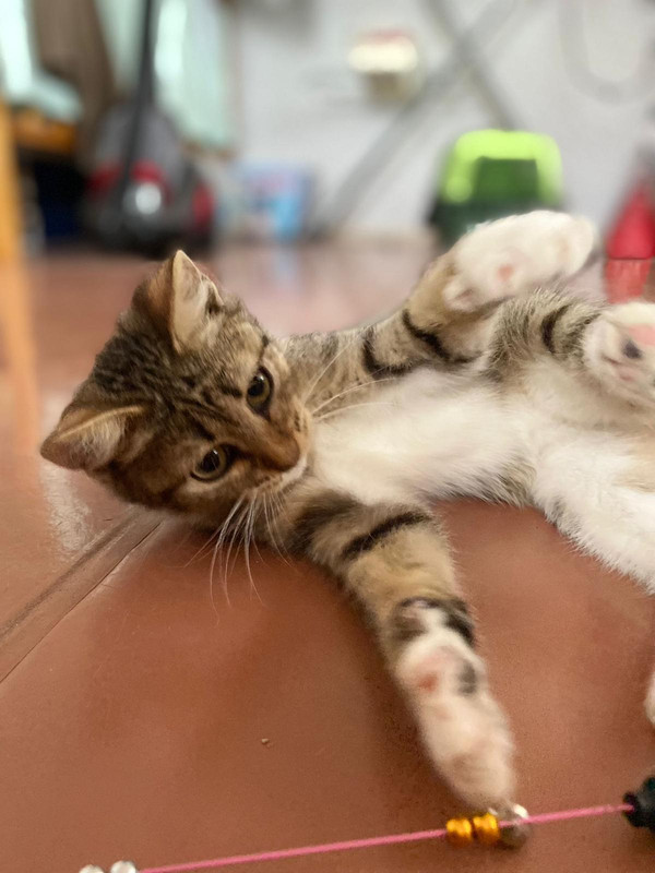 63930C47-AE57-4344-9367-86481A5D07B0