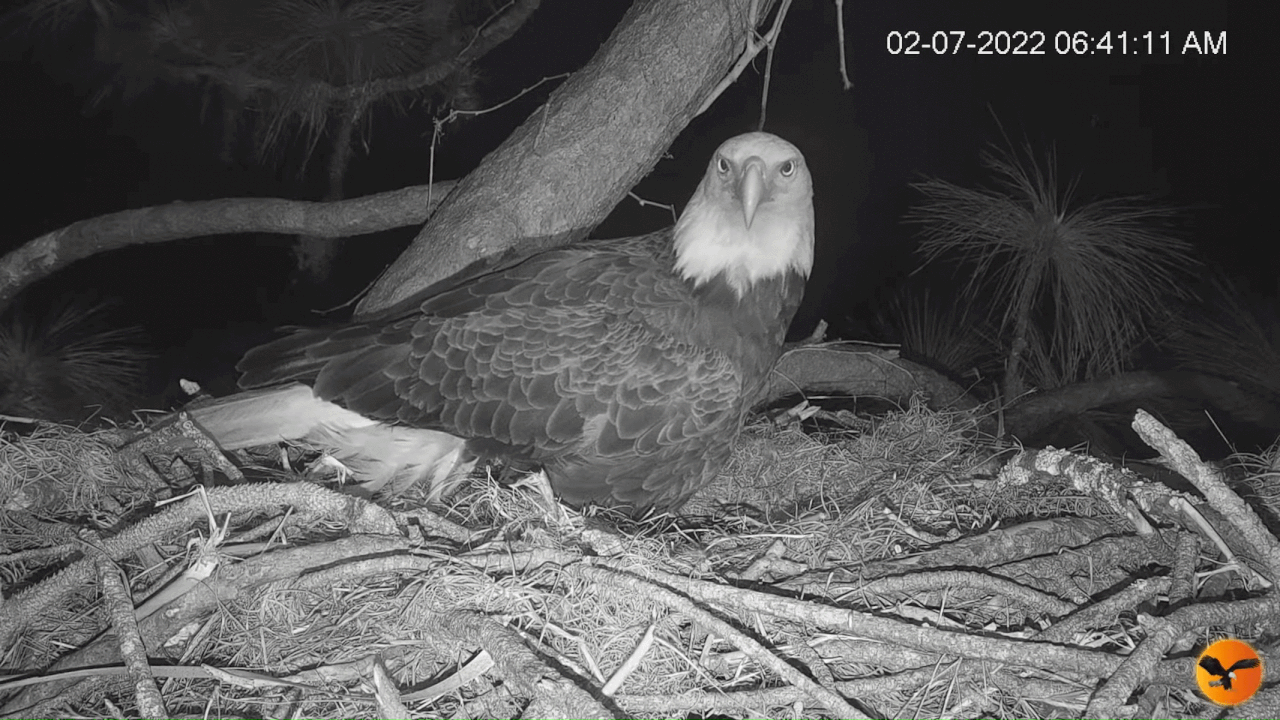 Webp.net-gifmaker (1)