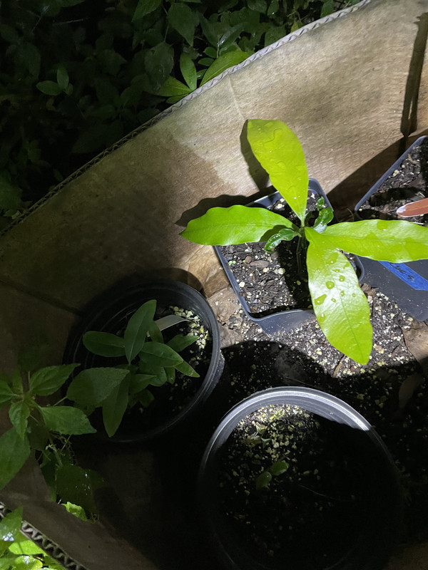 B4CF609C-A077-4316-B639-AF60B405C96F