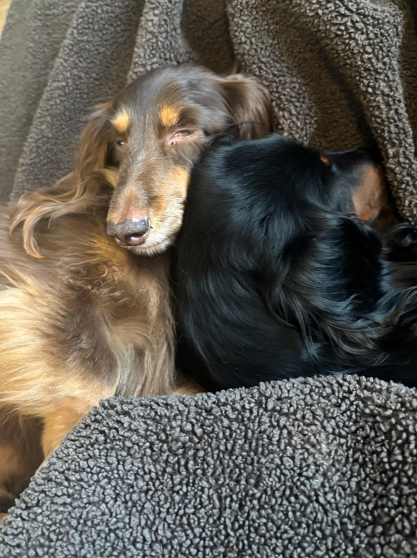 [Image: IMG-20250209-WA0006.jpg]