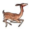 carcass-gerenuk.png