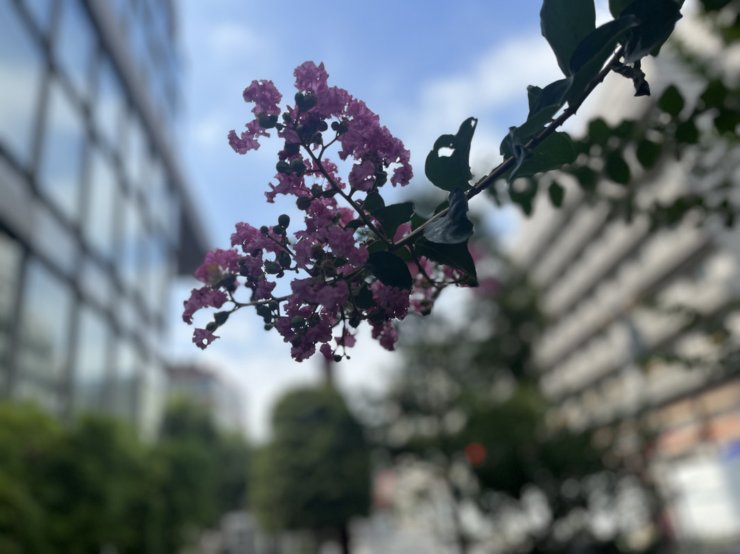 916DEC0A-3B0B-4E96-83D7-72590C03F02E