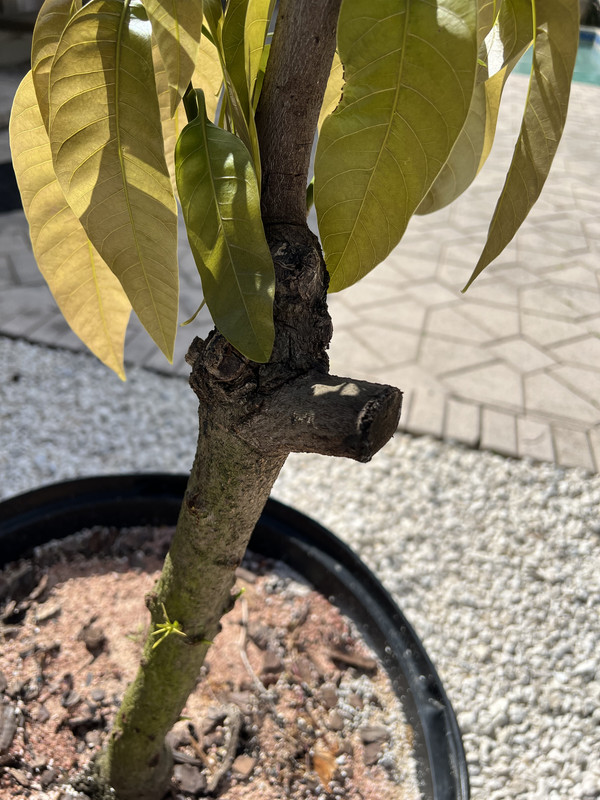 44A73F99-735D-4B26-ACC7-C82ABE5A96F7