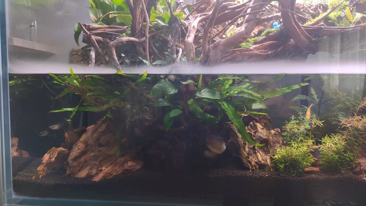 WhatsApp Image 2021-05-11 at 16.25.38 (3)