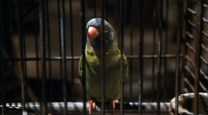 vlcsnap-2024-04-29-15h42m26s209