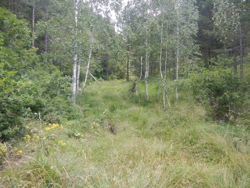 Zlatibor juli 2013 (57)