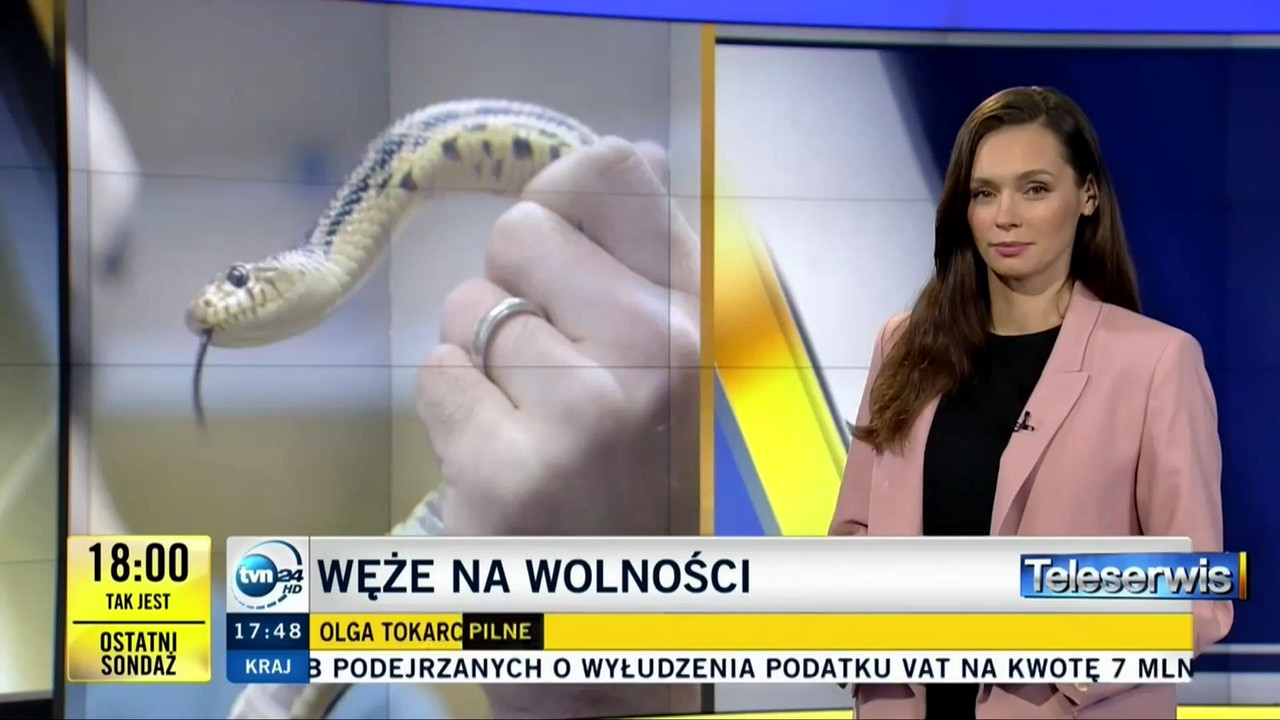 V0323_20191011_183217.mp4_snapshot_09.56_[2019.10.11_21.45.22]