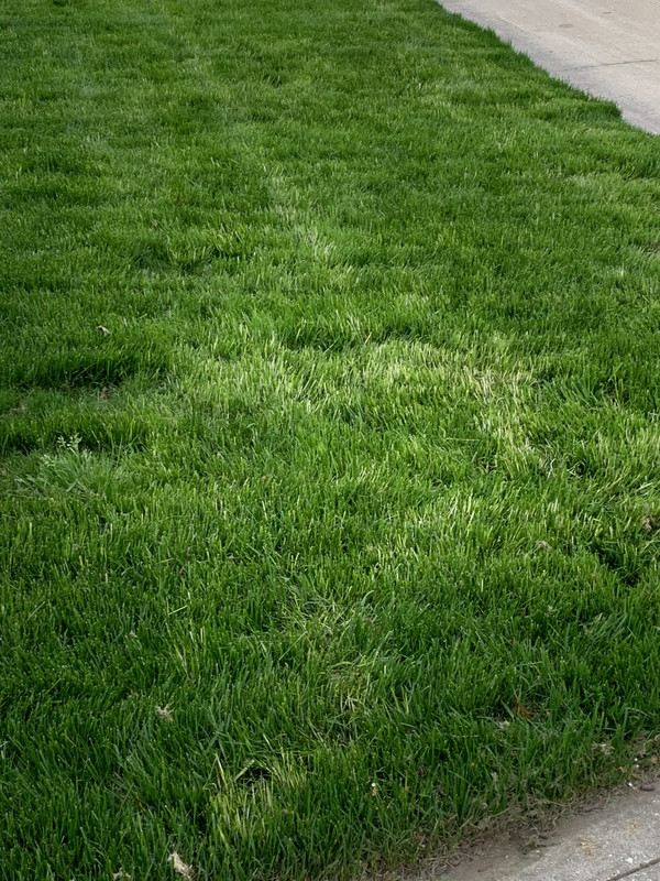 65644E69-6376-4C5A-BE5B-490728C73641