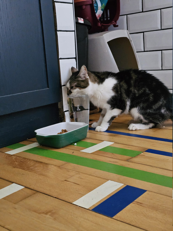 [Image: 20260314-160041.jpg]