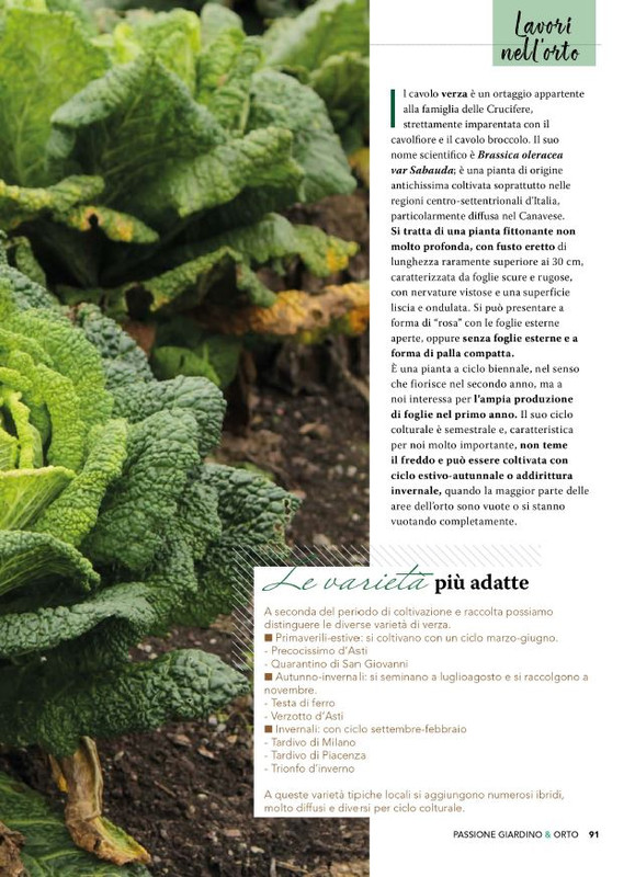 Pass Giar e Orto Ago 2025 (12)