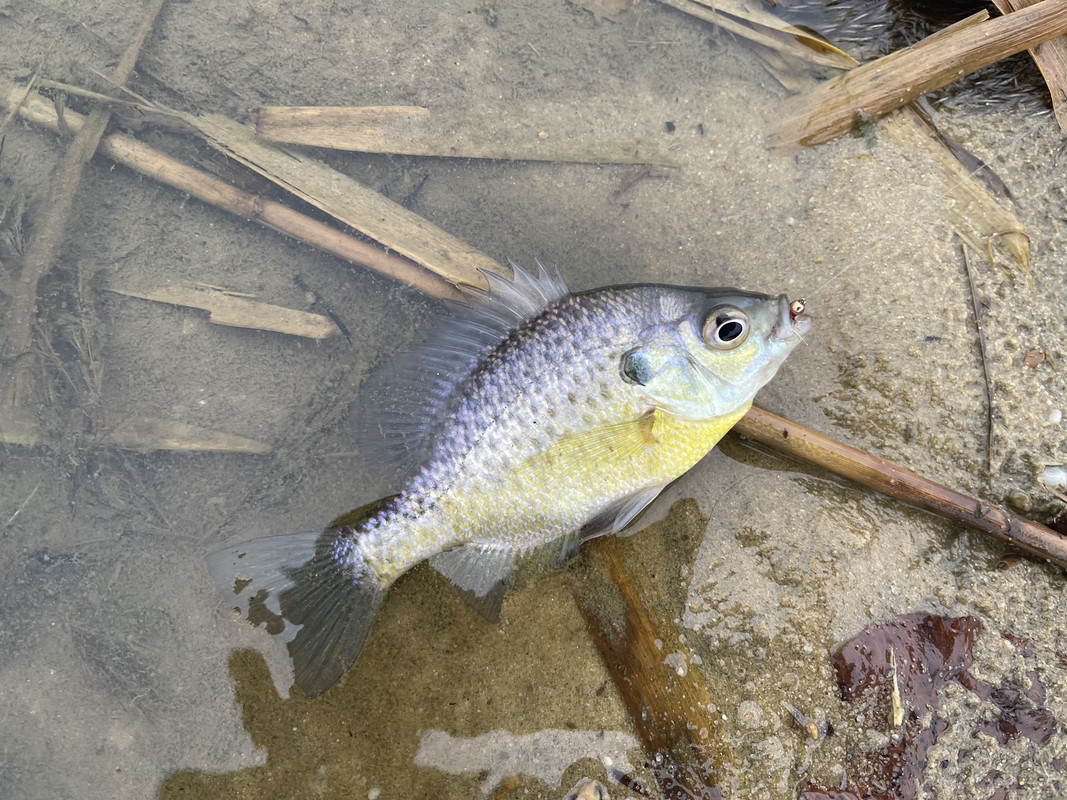 5DF9A495-EE16-4813-9273-2CD7D4F841B0