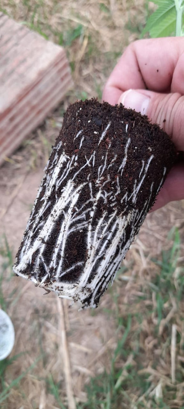 WhatsApp Image 2023-01-04 at 7.14.50 AM (3)