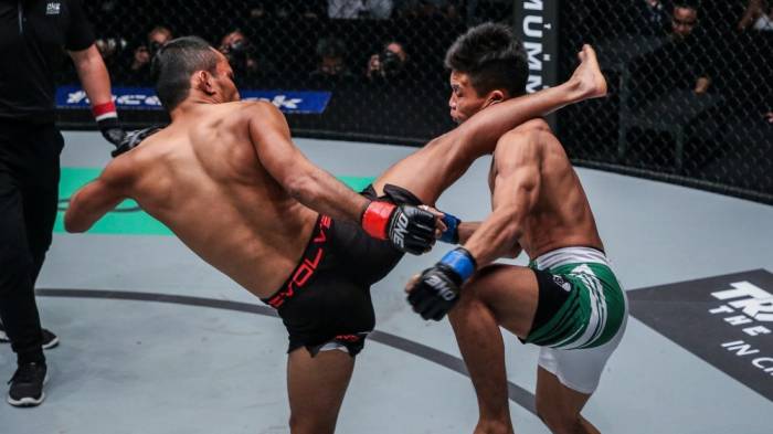 What Are the Different UFC Fighting Styles