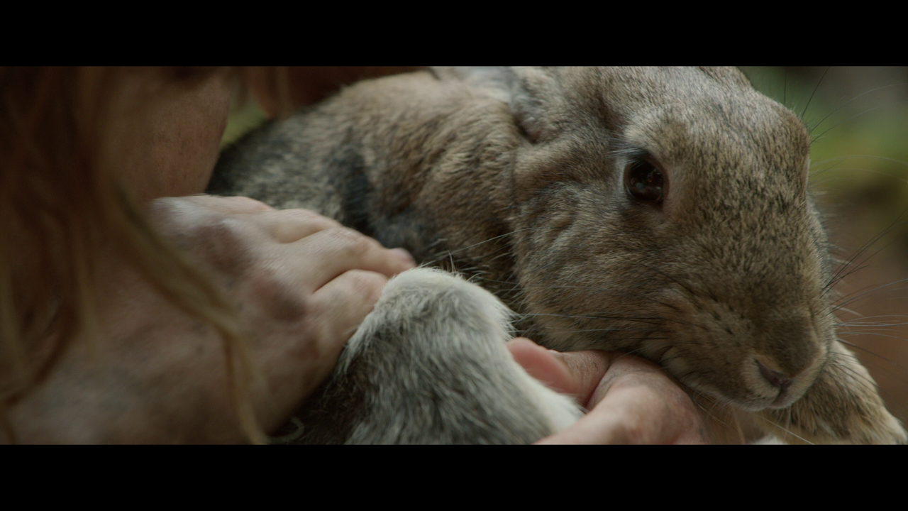 vlcsnap-2023-03-23-16h48m24s331