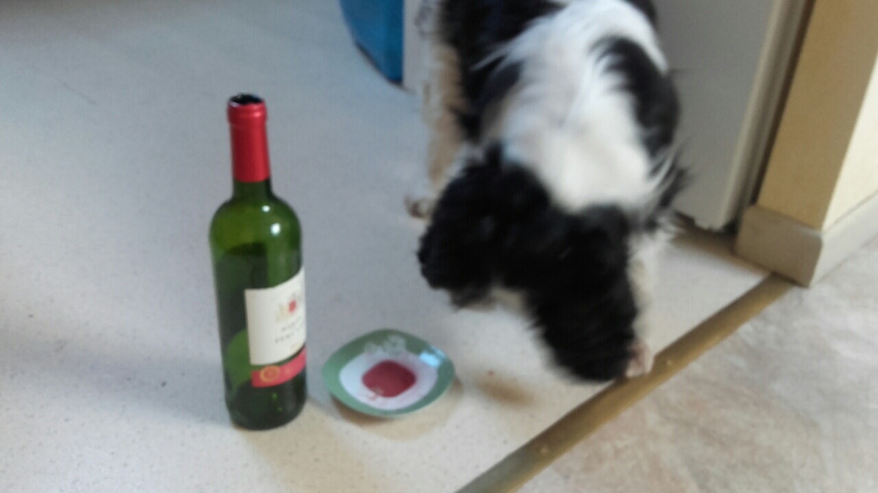 9BE1814F-49FA-483F-95CB-B0D5B0F92FAA