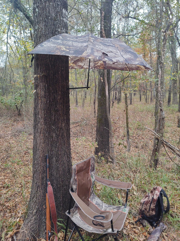 DAF5AF25-94E9-4ED7-8AED-A01730FDAA18