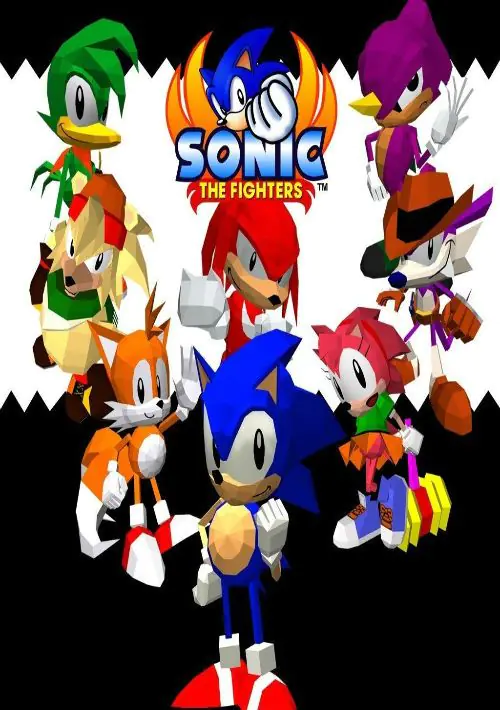 Sonic The Fighters
